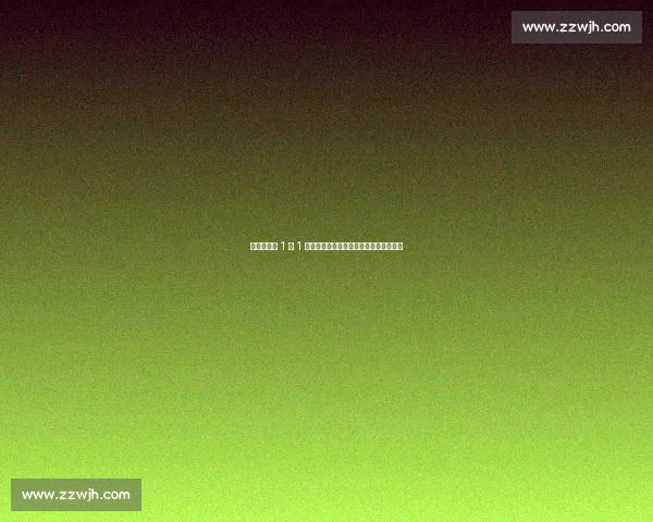 李晓辉美网 1 冠 1 亚创纪录，王紫莹搭档逆转夺女双三满贯